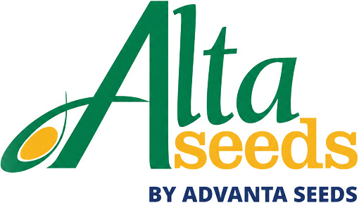 alta seeds