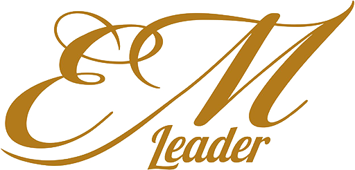 leader consulting